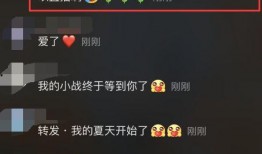 战姐直播爆料视频大全集,揭秘视频大全集精彩瞬间